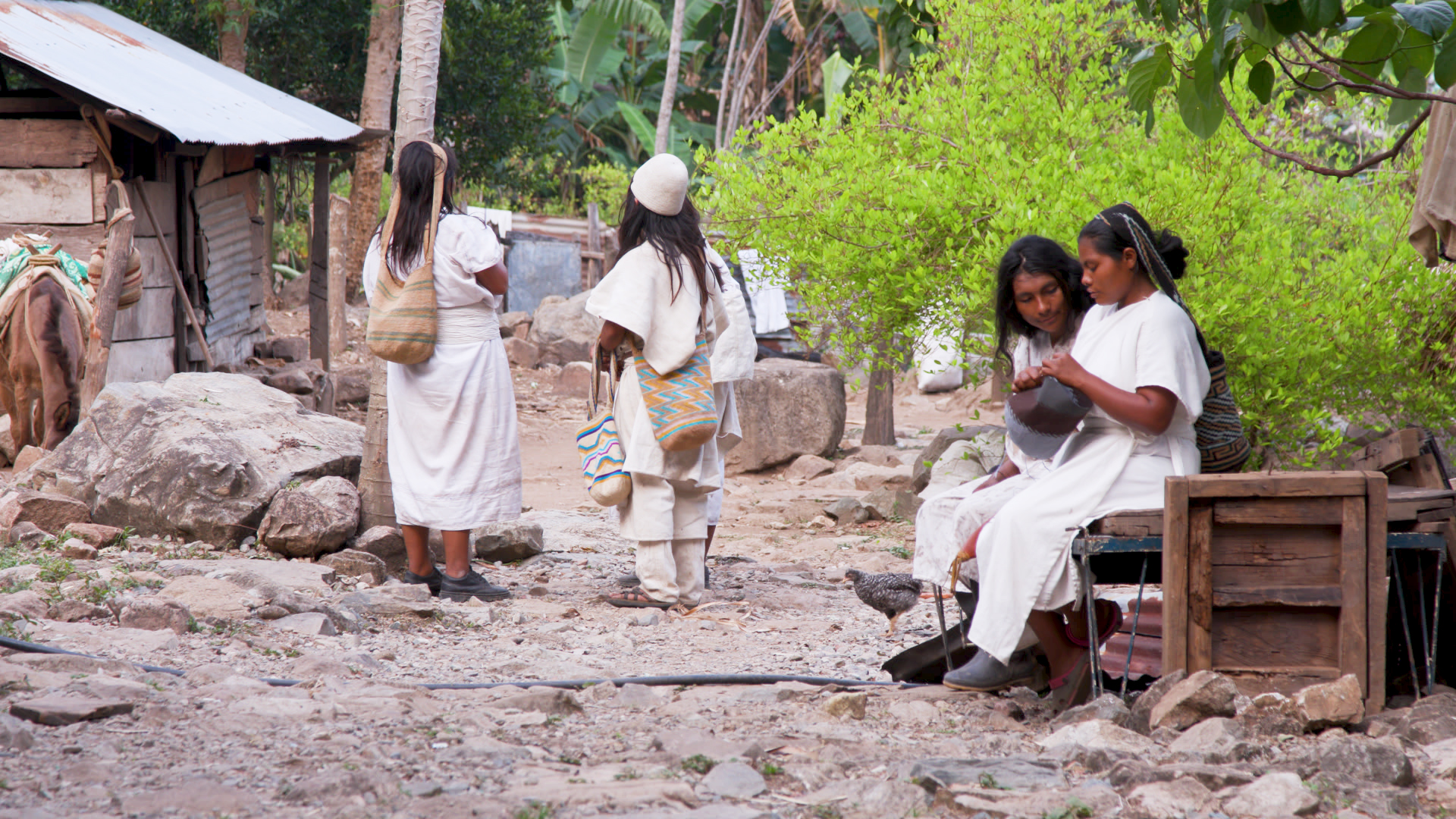Explore the Homelands of the Arhuaco and the Wayúu people of northern Columbia